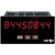 Red Lion Controls - PAXLC800 - Eight Digit Panel Mount Counter|70030232 | ChuangWei Electronics