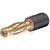 Staubli - 24.0106-21 - 4mmplug/2mmskt Black gold plated adaptor|70749655 | ChuangWei Electronics
