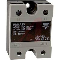 Carlo Gavazzi, Inc. RM1A23A100