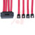 Tripp Lite - S502-01M - Tripp Lite 1M Internal SAS Cable 4-in-132Pin SFF-8484 to 4 x 7Pin 3ft|70591315 | ChuangWei Electronics